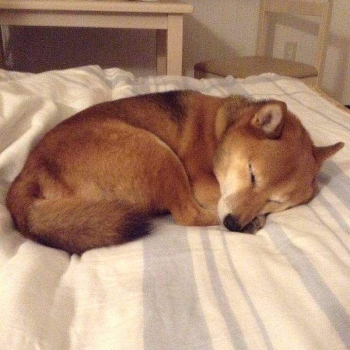 Bfebf2f6 ea82 4dd2 ad73 620bc153e26e 1511707600836