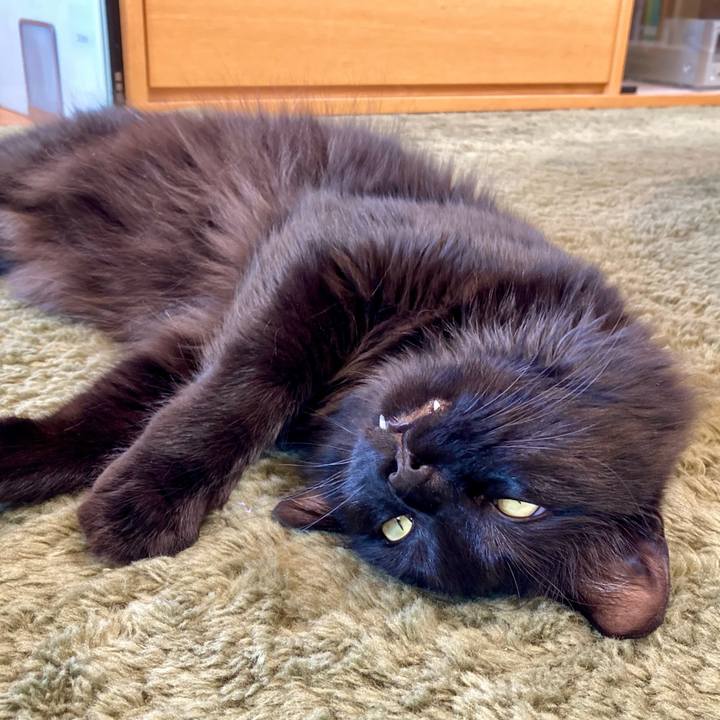 Bfebfc8c 0198 4b31 b0a6 886b88f94ba6 1749275555748