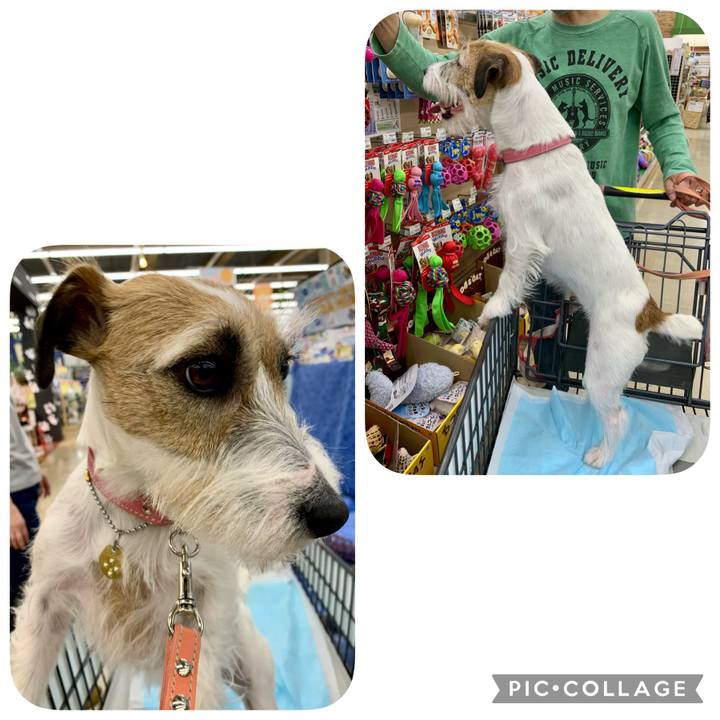 Bfec0011 8102 4cbd 9340 7d68ef8888bf 1618753143582