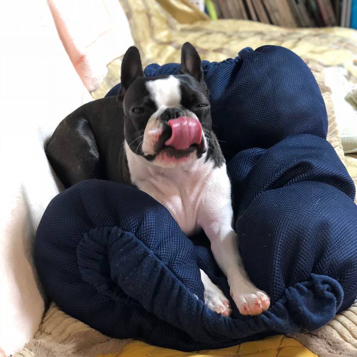 Bfec1301 e529 439b 8be7 7167faebb724 1538042809842