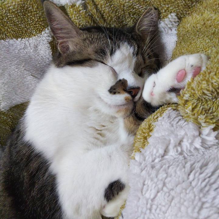 Bfec949e 6ce3 4890 bebd a6a7b7092b80 1646028376328