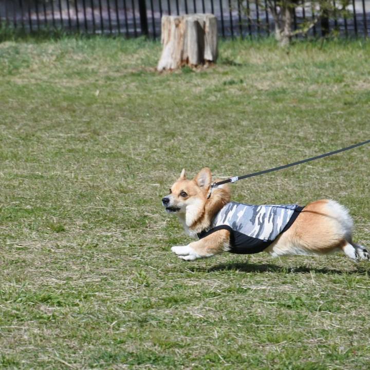 Bfeca83a a8ab 4eb9 9c99 8016ce864b79 1540617488157