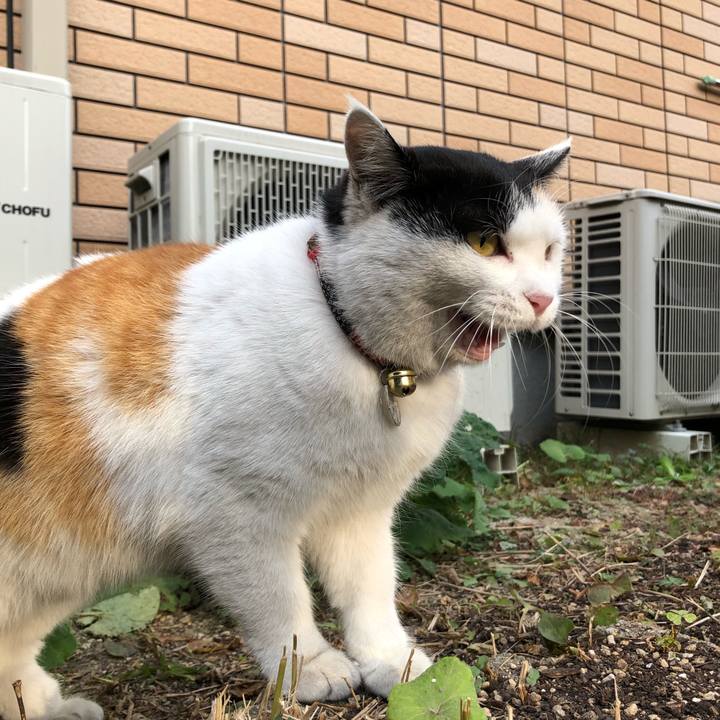 Bfecb597 c7c6 4dc2 a2b2 31cb42bee05e 1607818226024