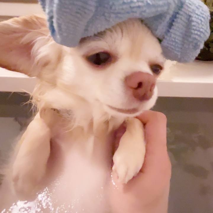 Bfecc665 6647 41ee 8035 965c9626f9ce 1739021126258