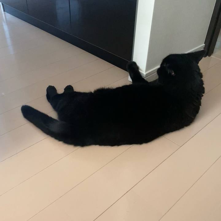 Bfecd8d0 4c7b 4d78 b147 54497d32c483 1756714113312