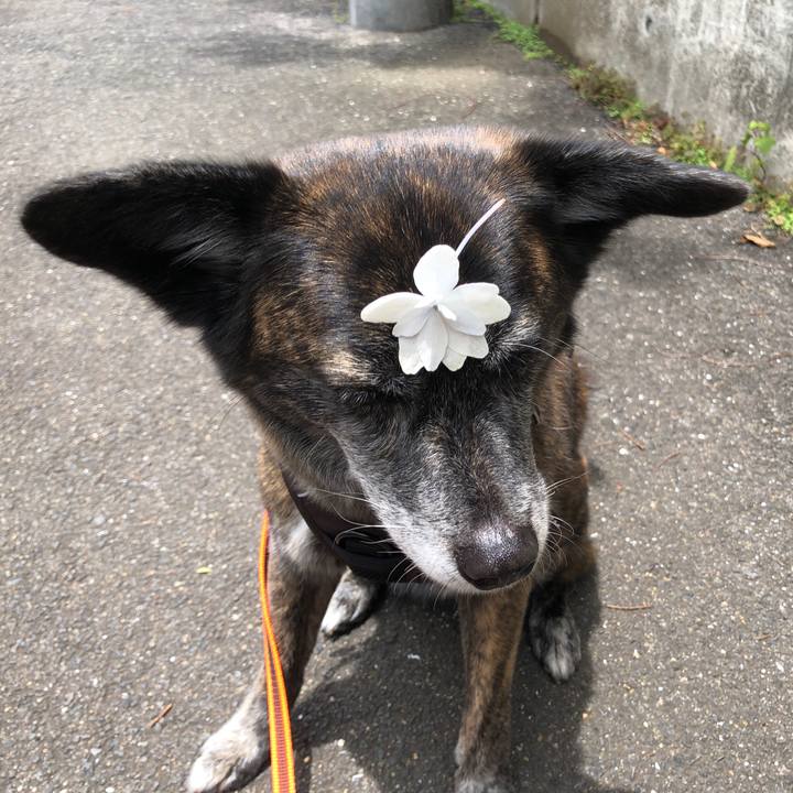 Bfecdead 83bf 4d18 b611 05fea6de17e5 1623714502439