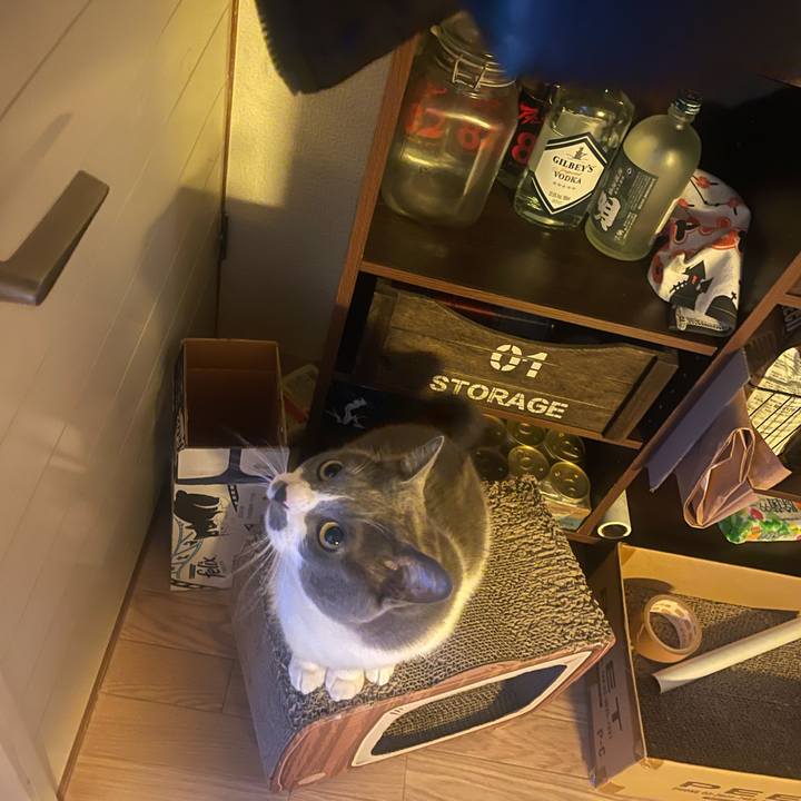 Bfed18c3 0afa 4352 a1f3 a47c4b920d81 1708239515146