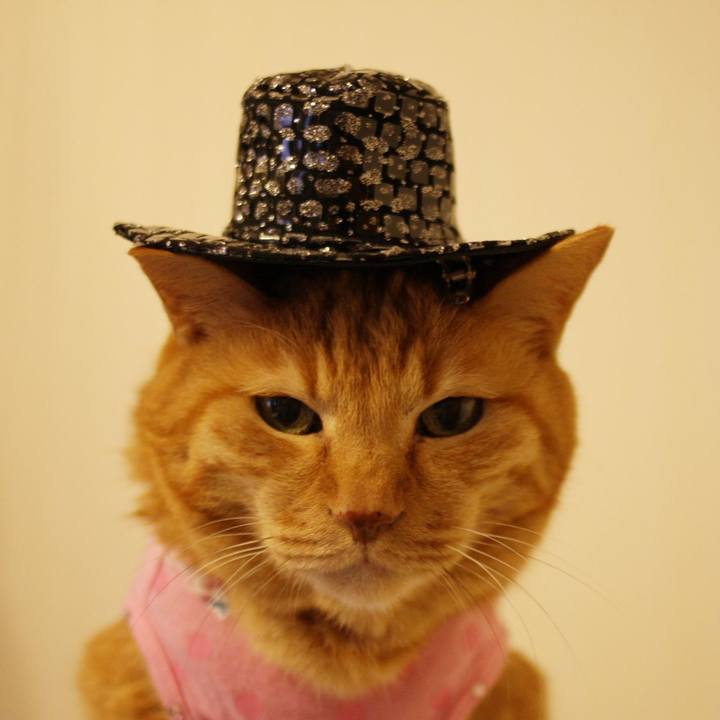 Bfed21ef 5e08 44de acd5 8a3f587eed24 1629867164624