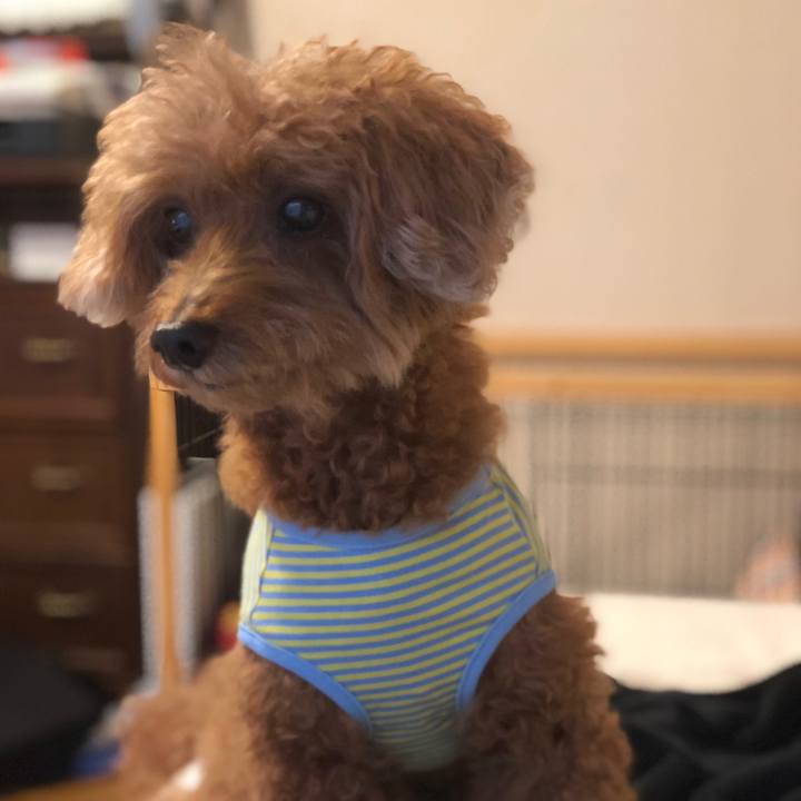 Bfed8437 421b 4926 9d53 7aa606a44a96 1538296083290