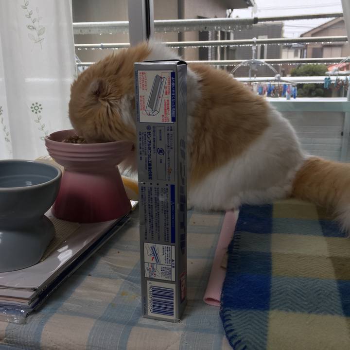 Bfed9ab5 e9da 4c53 abd2 ba1ed7078b7e 1585716538349