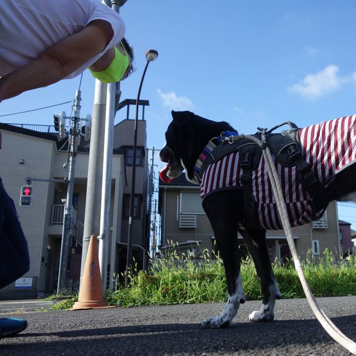 Bfedc607 e744 43b5 a206 ad5401c44eeb 1659139906342