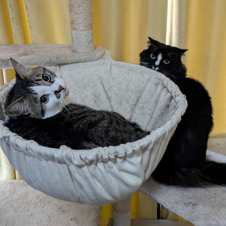 Bfedd72c af49 4e5f bf9c 822d679407f5 1742854218859