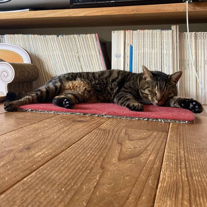 Bfee1332 d457 431d 9d84 debeeaa33ef5 1711848164180