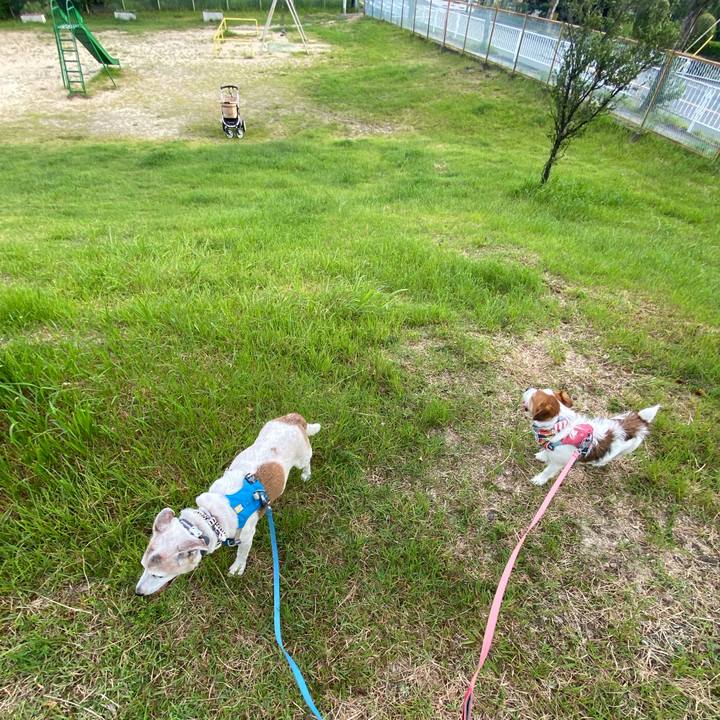 Bfee4623 f07b 4599 9694 b5fc26196af8 1720481572737