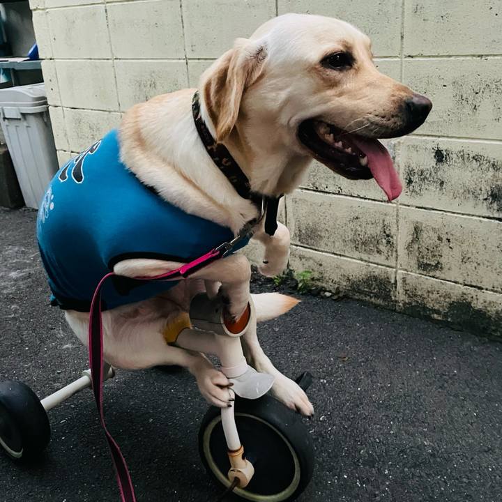 Bfee6ad6 d0f4 4bb2 81f2 f05d0619d5a7 1655469017817