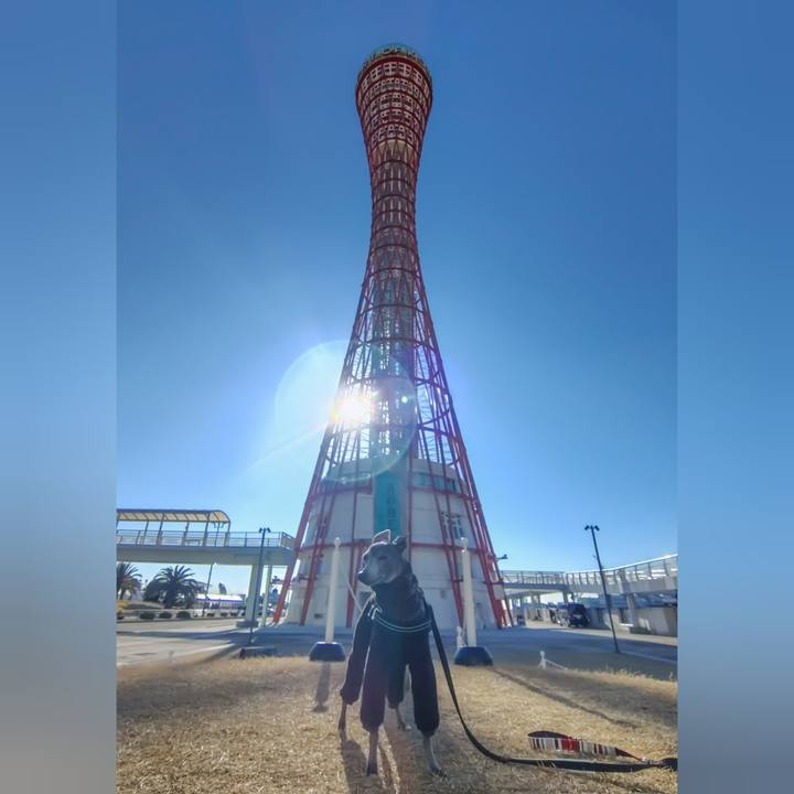 Bfee98ed 4cc2 4e58 8439 9b22d145f11a 1767155200788