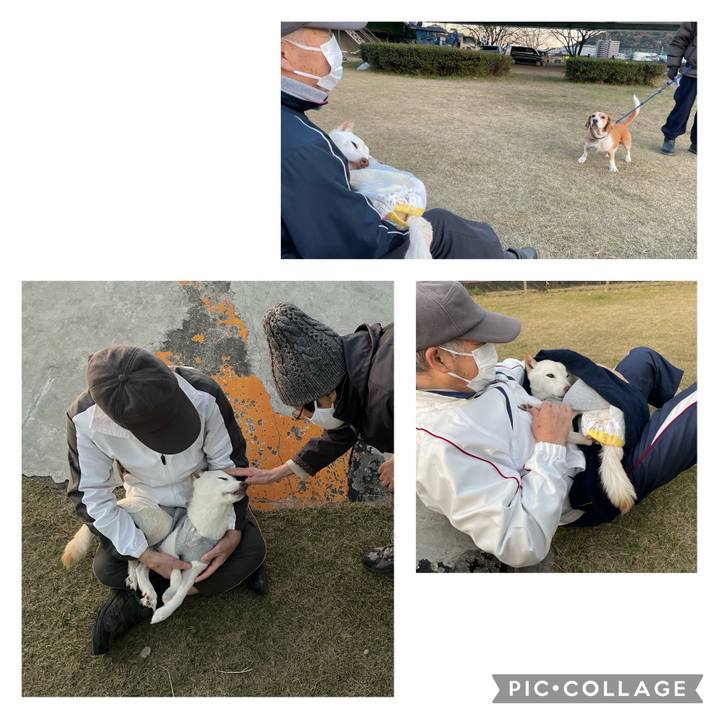 Bfeee0df 2e92 471a aa33 ccfbfcb37206 1702939039873