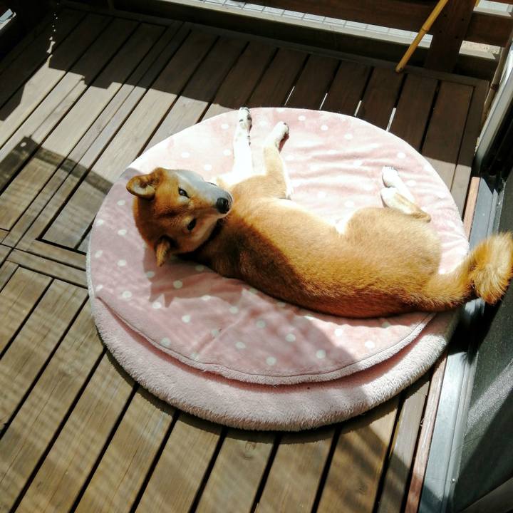 Bfeeeee7 3b76 4735 84a8 1b5f2cbe6896 1627706750328