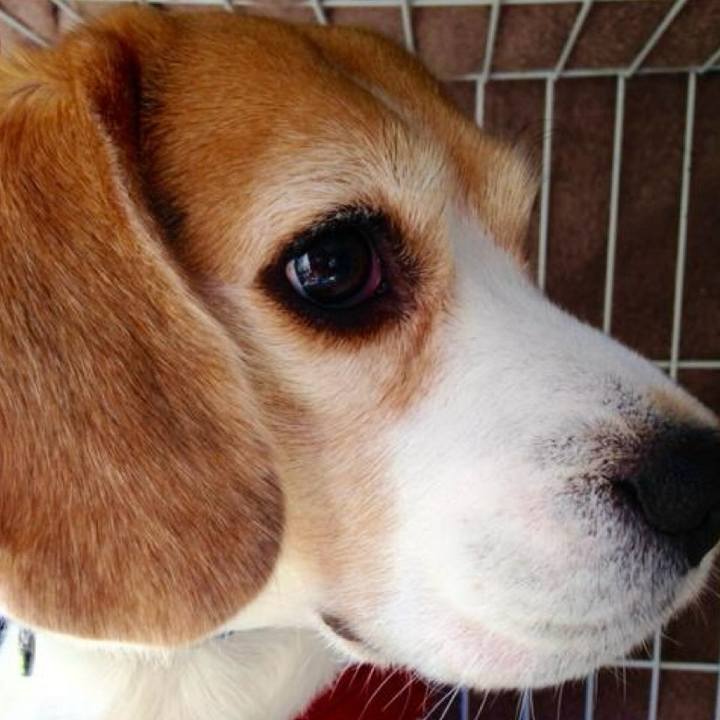 Bfeef2c7 ae89 429e a0ea 7d54e2f051c3 1738626588569