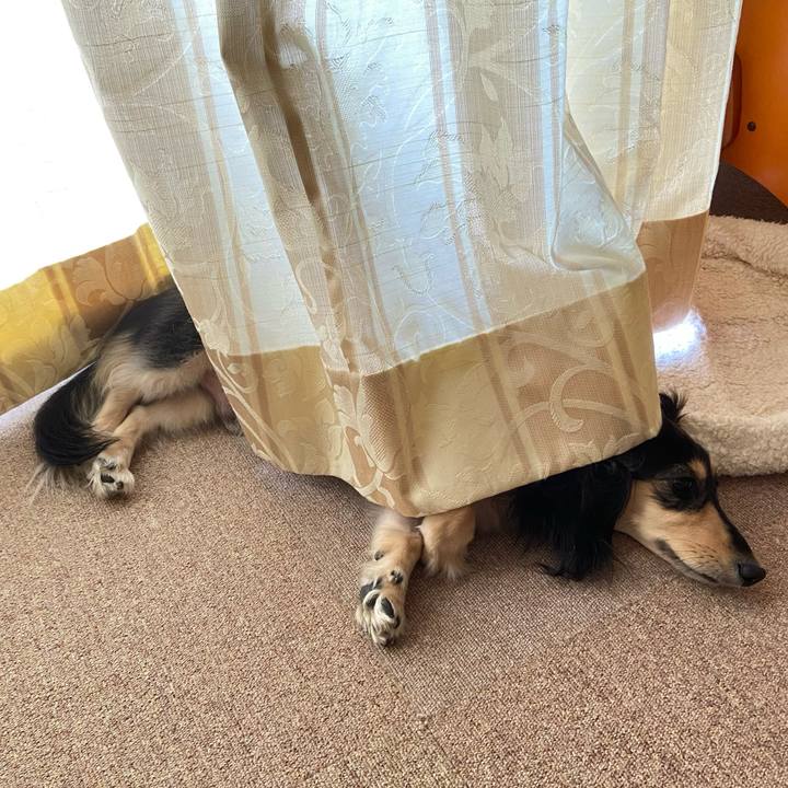 Bfef0899 5930 4696 a6e3 5827147edc6b 1752018989485