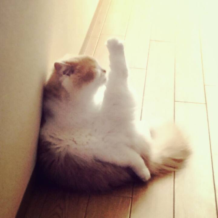 Bfef254b 38cb 465a b25a 1ed22992510d 1532132439411