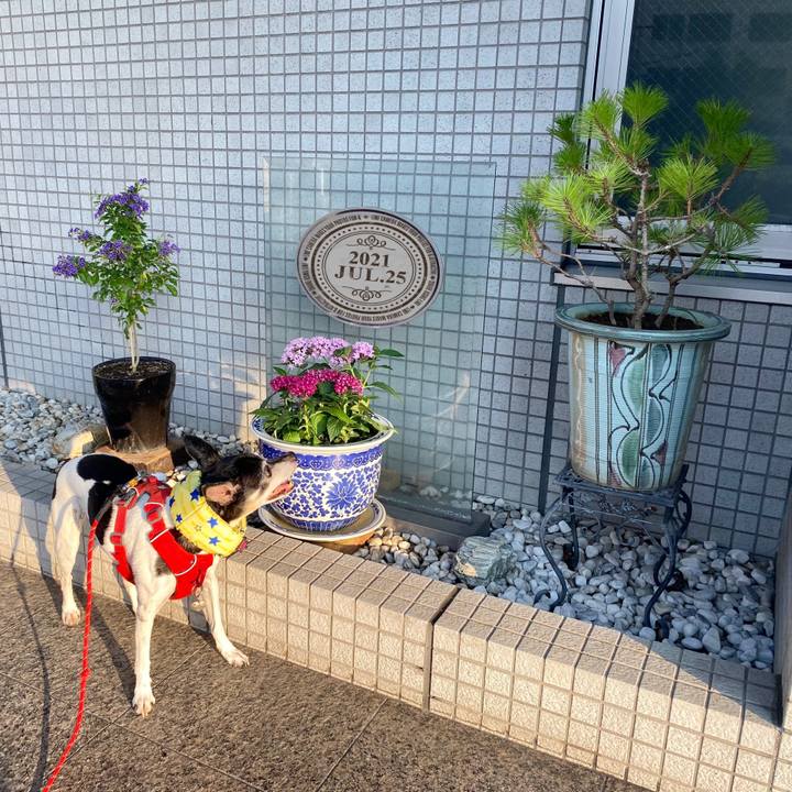 Bfef3ce0 be0c 4484 9a87 0236fbdce5c0 1627248249030