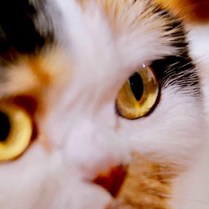 Bfef6473 4a78 4720 9714 934240c1f24f 1563577288543