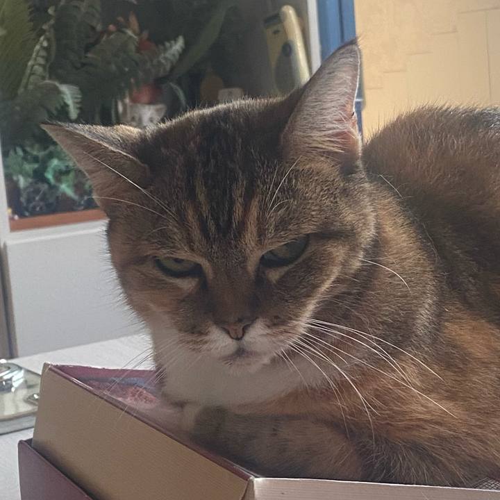 Bfef6df6 a738 4eea b9fd d8e618509b51 1756449219928