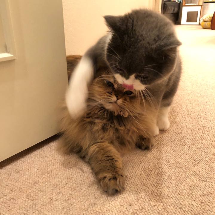 Bfefa844 018f 41b0 8f4e 002d5520766a 1519662771092