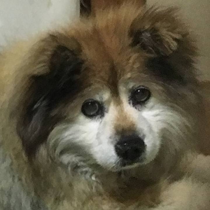 Bfefae9b 0981 4a05 b6dd 6391cf5133d2 1618661396238