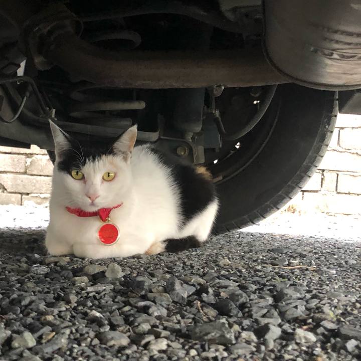 Bfeffdf0 611a 4e02 bbe0 51e70268dd43 1631312080260