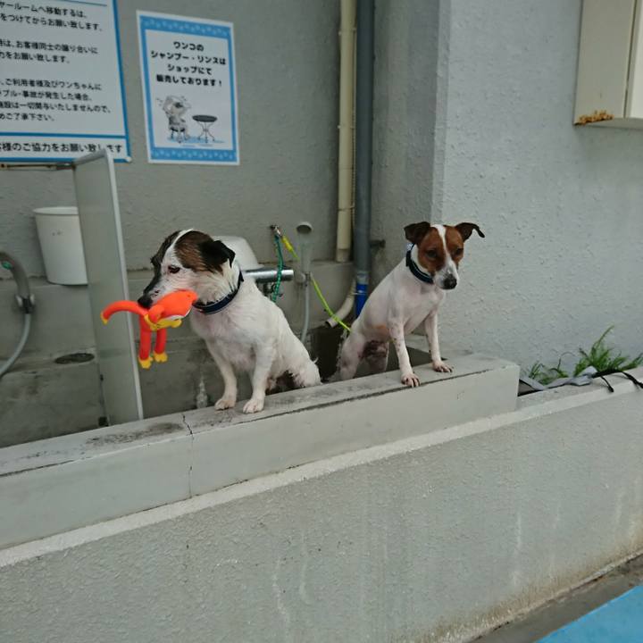 Bff00a9d ed75 4b56 88b9 5354e86a0693 1555226764572