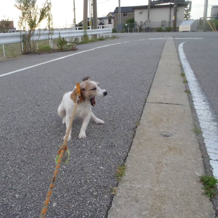 Bff0e2a1 9d27 47f4 8fff c6a27c6c33bc 1535879327456