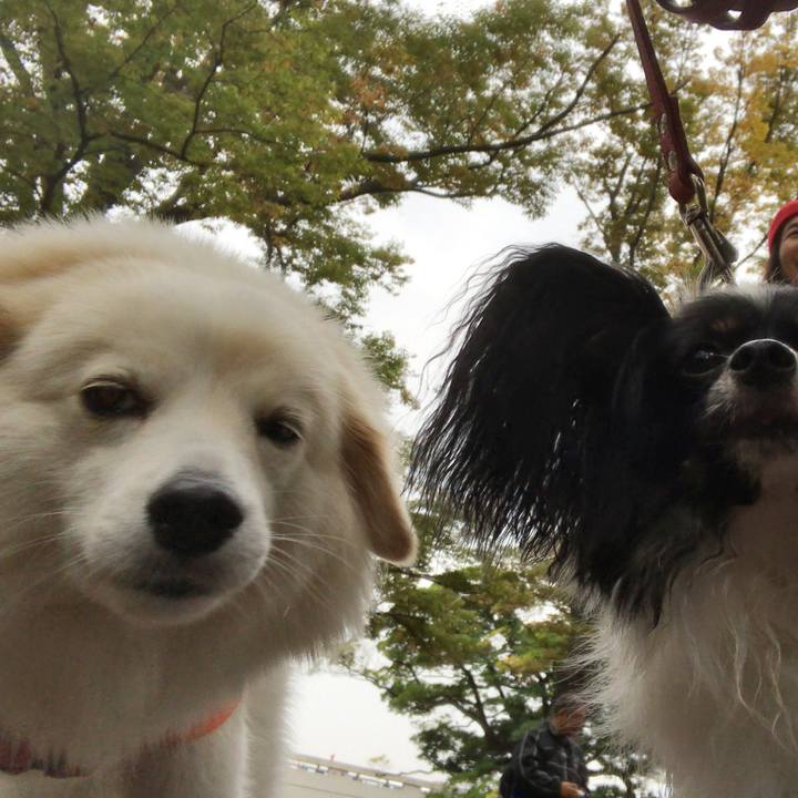 Bff0f75d a155 4c23 bd81 431457cb7a5f 1509177774566