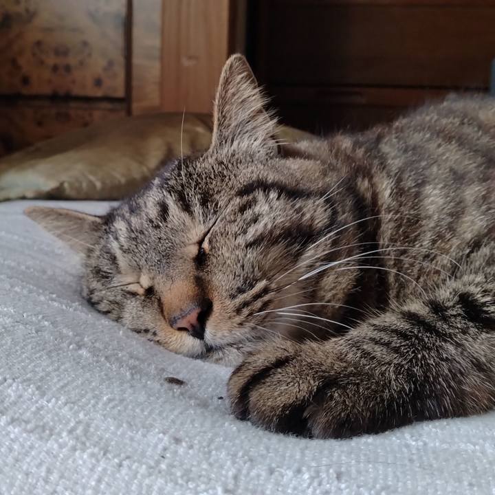 Bff107e7 14c0 4ffa b586 f71f7432c9fd 1686892883668