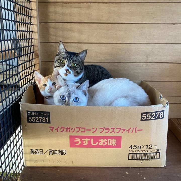 Bff12dc1 753c 44a6 85d3 4deb6f4d7e07 1666655997266