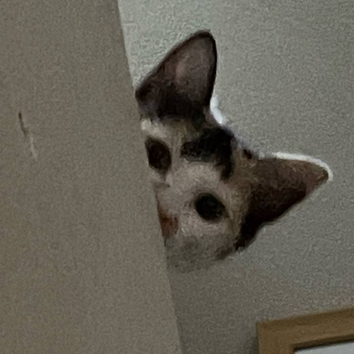 Bff1396f 7256 4480 9ce6 9750fb839b6f 1663976592262