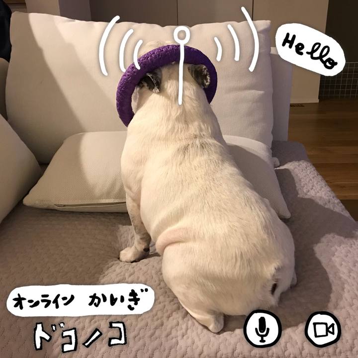 Bff1511f 8770 4141 9a40 34dd29d776e5 1591081535226