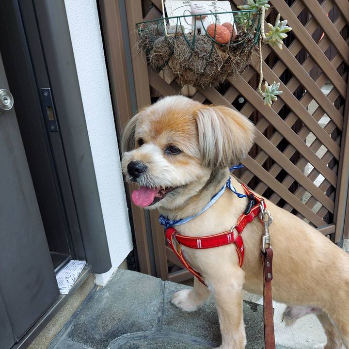 Bff171fd 96c5 4c63 9211 b45cd459091a 1623725700462