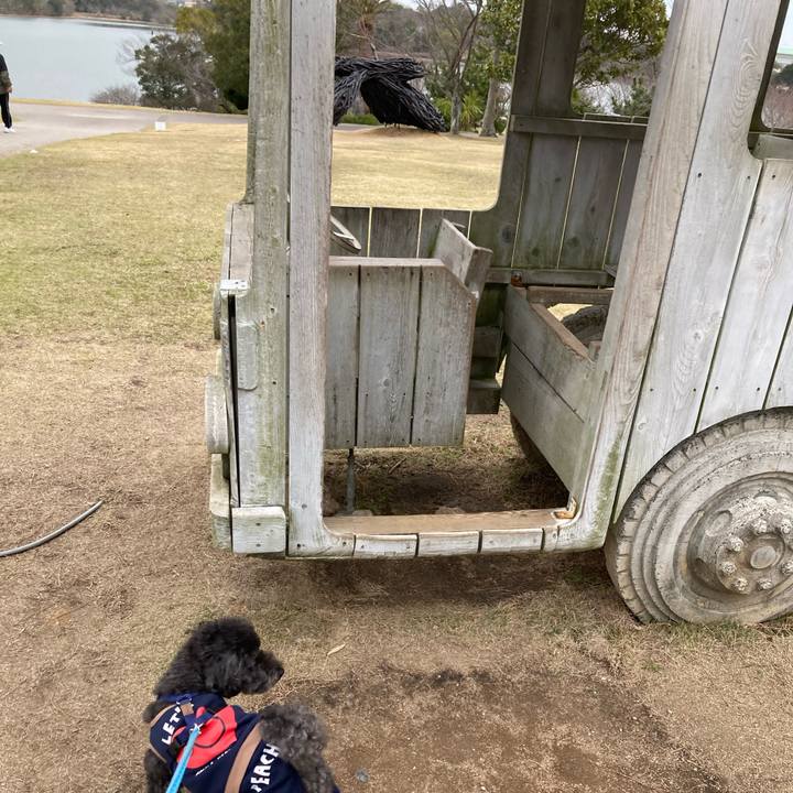 Bff17f06 8c76 44df a21c 0c61ee42b684 1679662347223