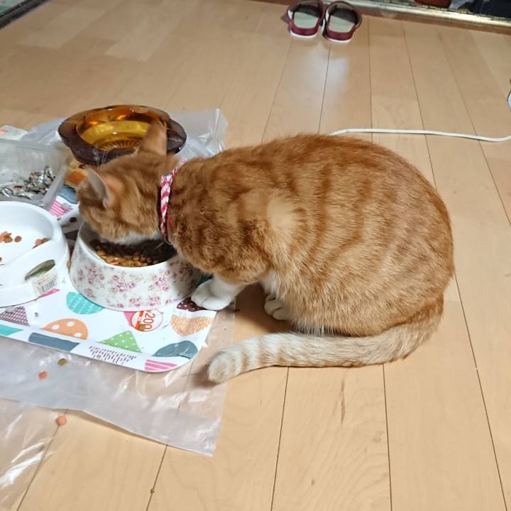 Bff1ae18 fa32 4413 bffa 1b14a1d1c97e 1598171678151