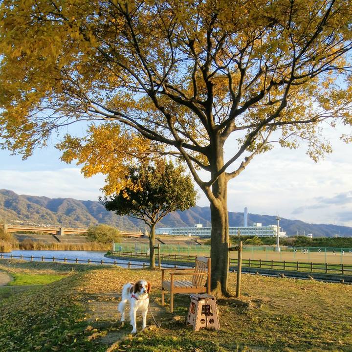 Bff21060 5ab0 4bf0 85b7 518838bf04c7 1544258535805