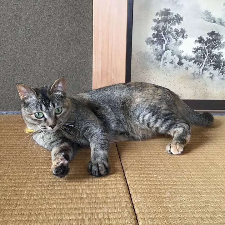 Bff234e9 e293 41ff 8a7f 06fc3d2f70cb 1623396490409