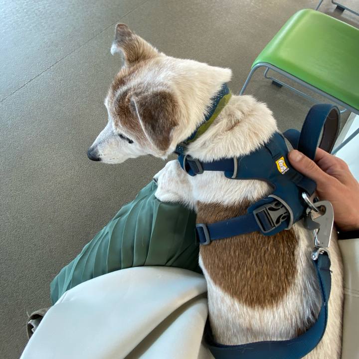 Bff253a1 793d 4f8b a3be 14f5a8a865cf 1680925827517