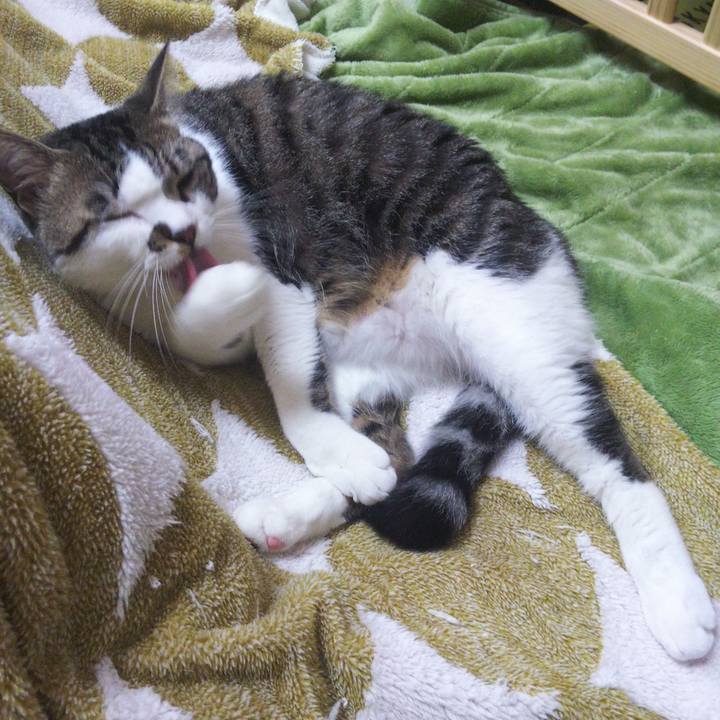 Bff25f52 b944 4aa5 b98b 9a0b93a39794 1650602521045