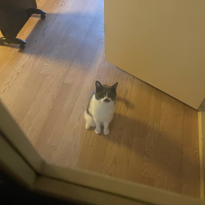 Bff28f35 d987 4937 9654 778b6ff67f09 1628151896246