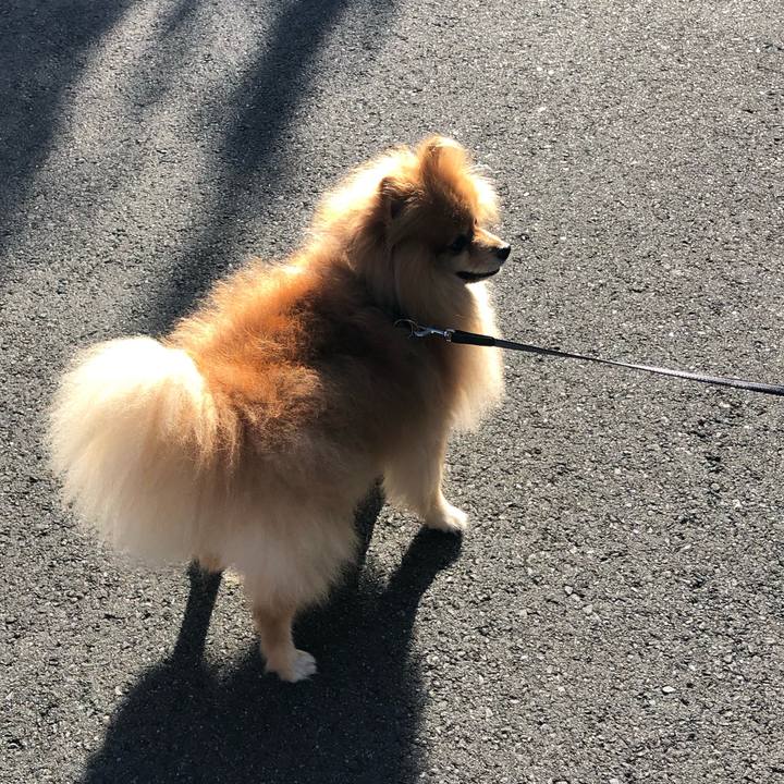 Bff2a1fc 62d6 4a60 b56d 5acd77073661 1568252758630