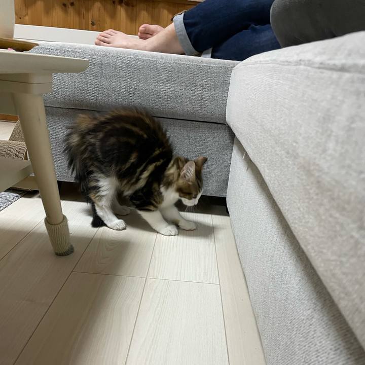 Bff2d77a 9ebc 4c60 ab5e a9adefff9f9b 1633779010856