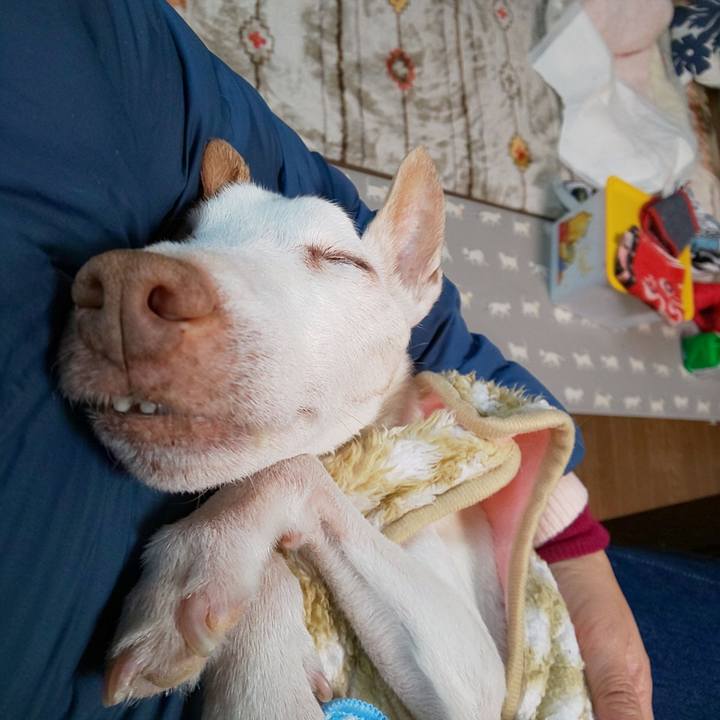 Bff2e893 b437 4faf b142 baa24c7050cf 1610963871292