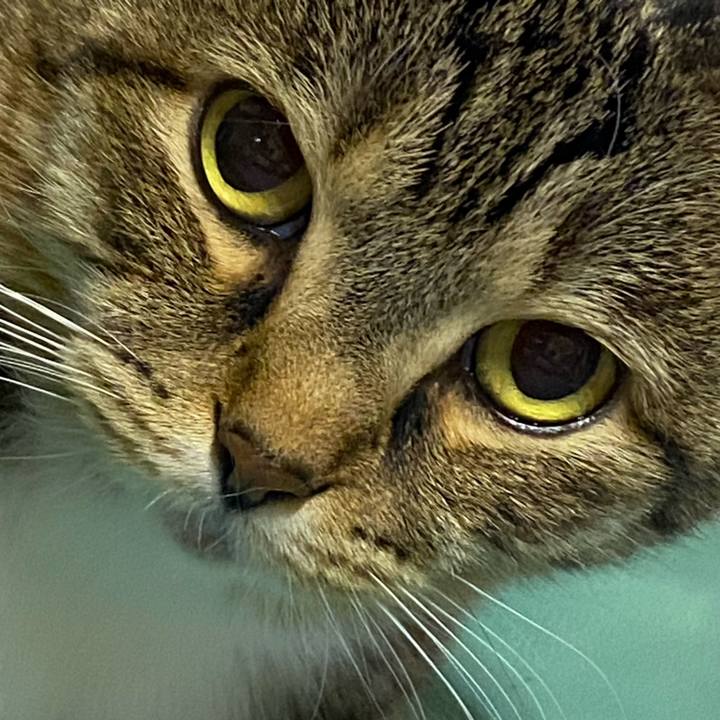 Bff30352 1702 413a b591 e66bfb2ad626 1637099191482